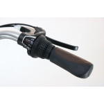 Mestský bicykel 28" Lavida Mahbike Sprick 6 prevodový hliníkový 18" Zlatá